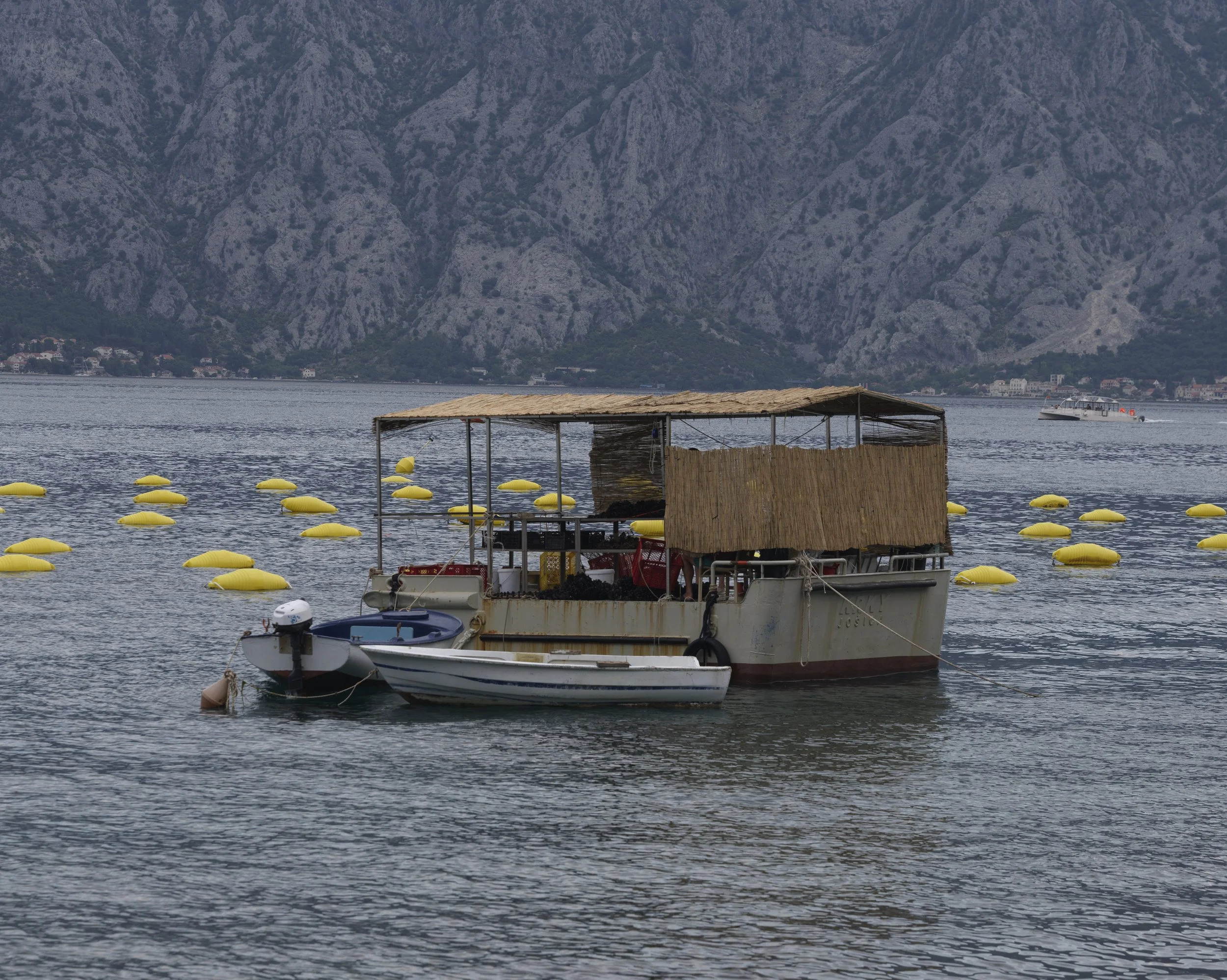 Montenegro