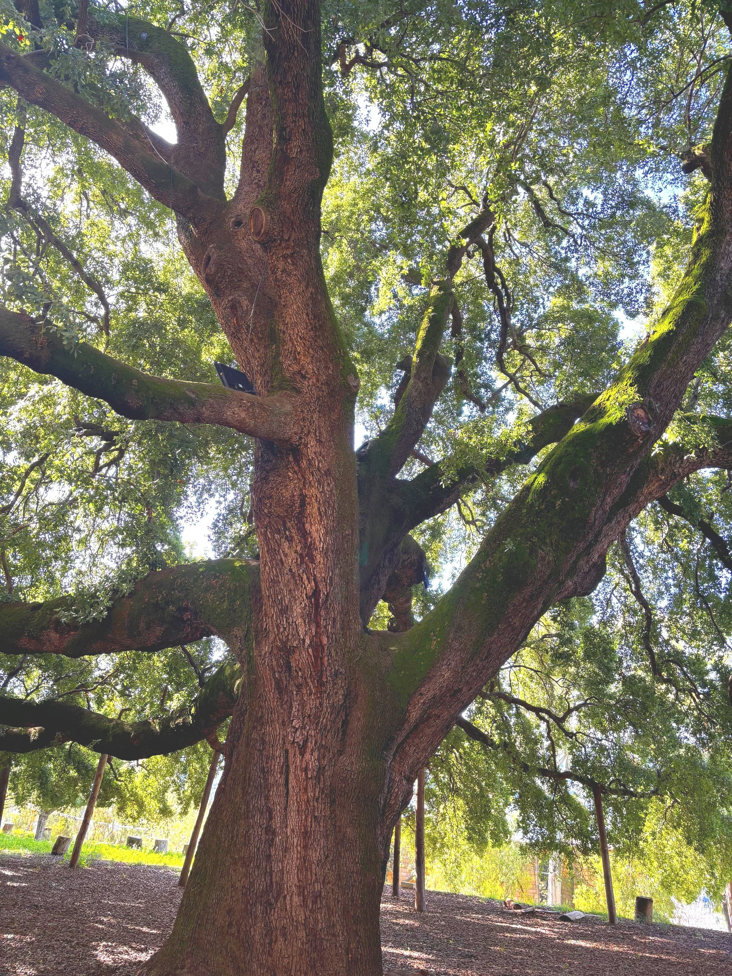 scaling up think big scale smart