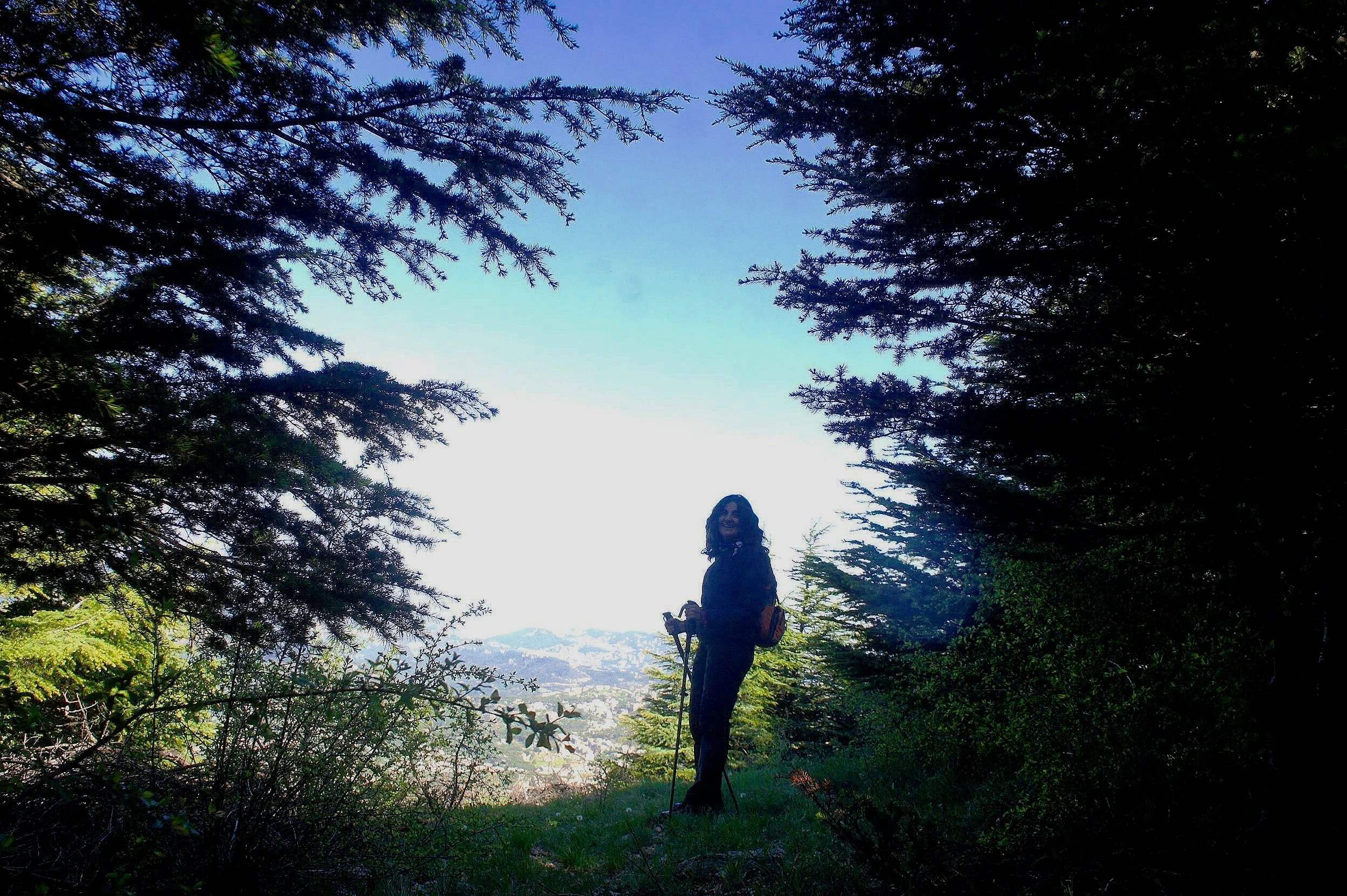 A woman standing outdoors among trees with a scenic view behind her, holding hiking poles and smiling. Joanne F. Karkour ; Certified Scaling Up coach CEO Advisor Growth Strategy