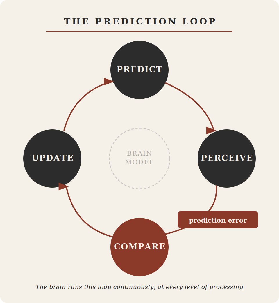 The Prediction Machine