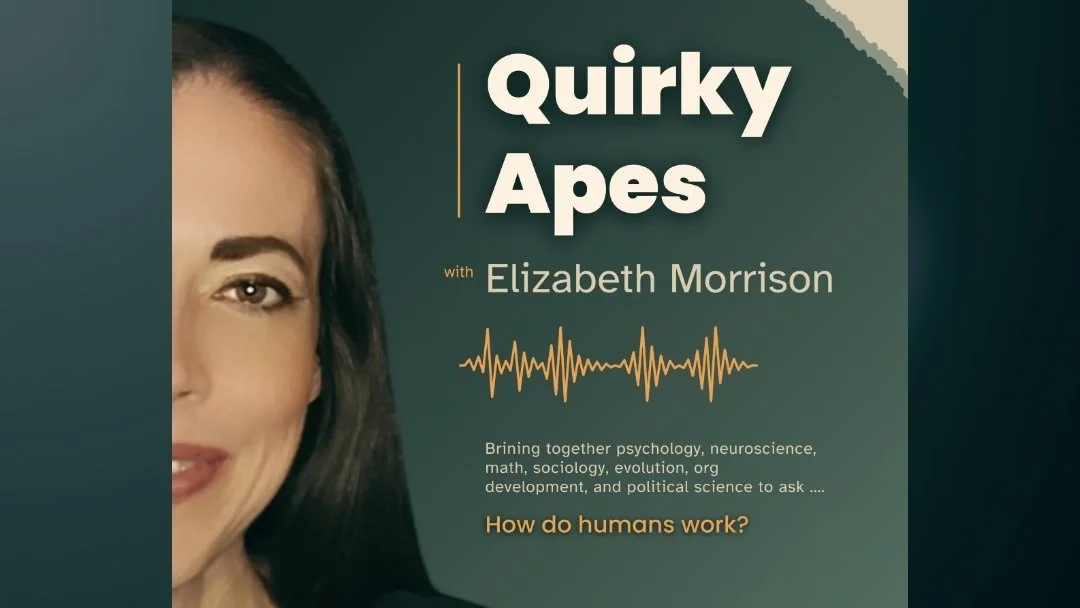 We Are Quirky Apes