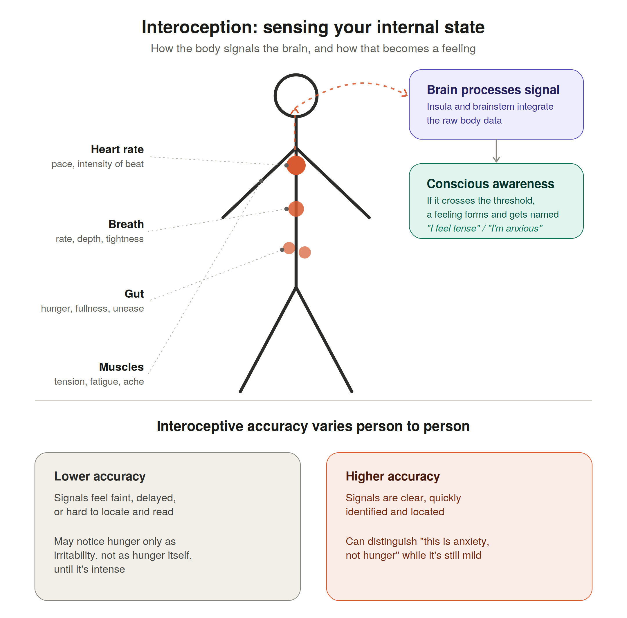 What Is Interoception?