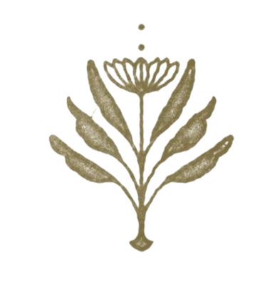 Illustration of a plant with multiple elongated leaves and a circular flower at the top.