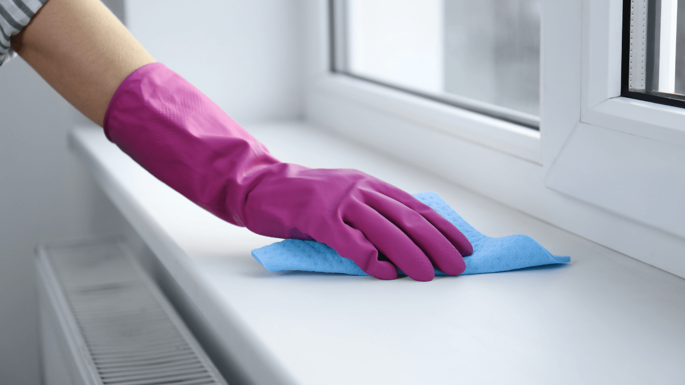 Professional cleaner performing a seasonal deep cleaning