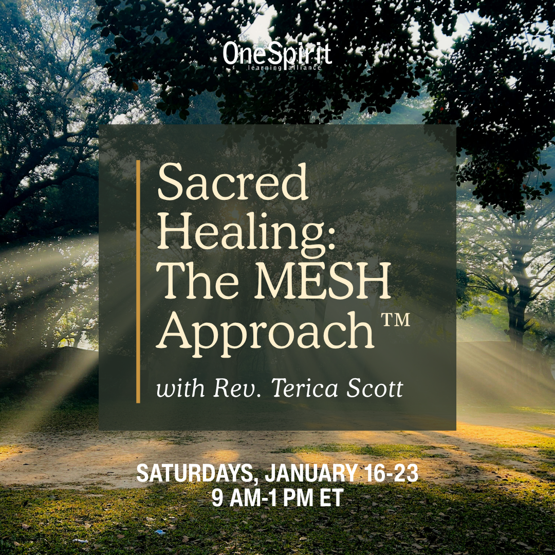 Sacred Healing: The MESH Approach™