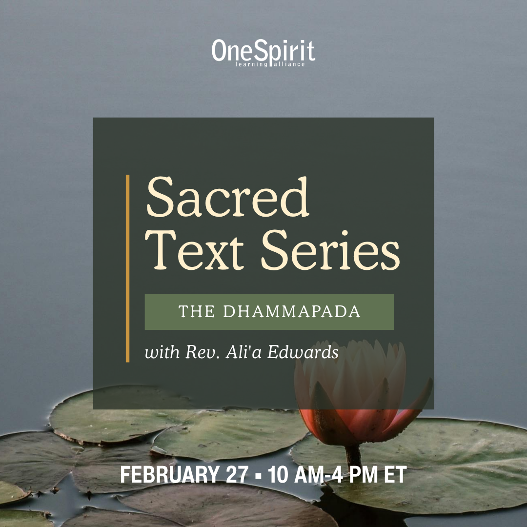 Sacred Text Series: The Dhammapada