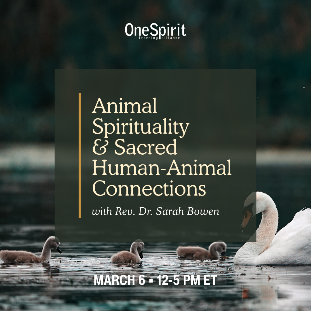 Animal Spirituality &amp; Sacred Human-Animal Connections