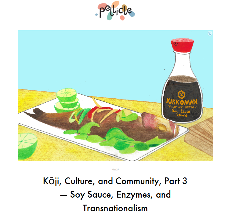 Pellicle Magazine - Kōji, Culture, and Community, Part 3
