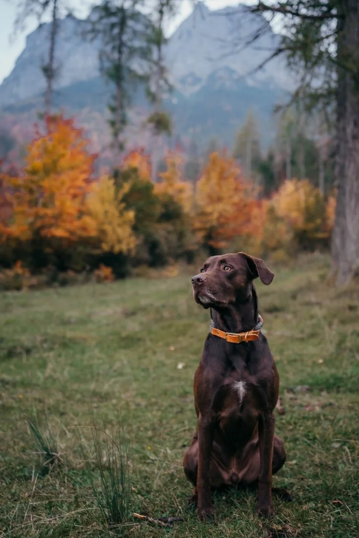 entspanntes-miteinander-happy