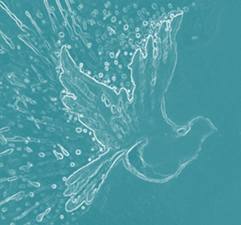 Life Whispering Psychotherapy PLLC