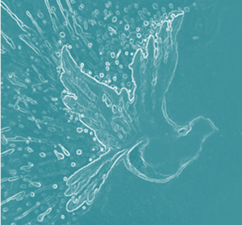 Life Whispering Psychotherapy PLLC