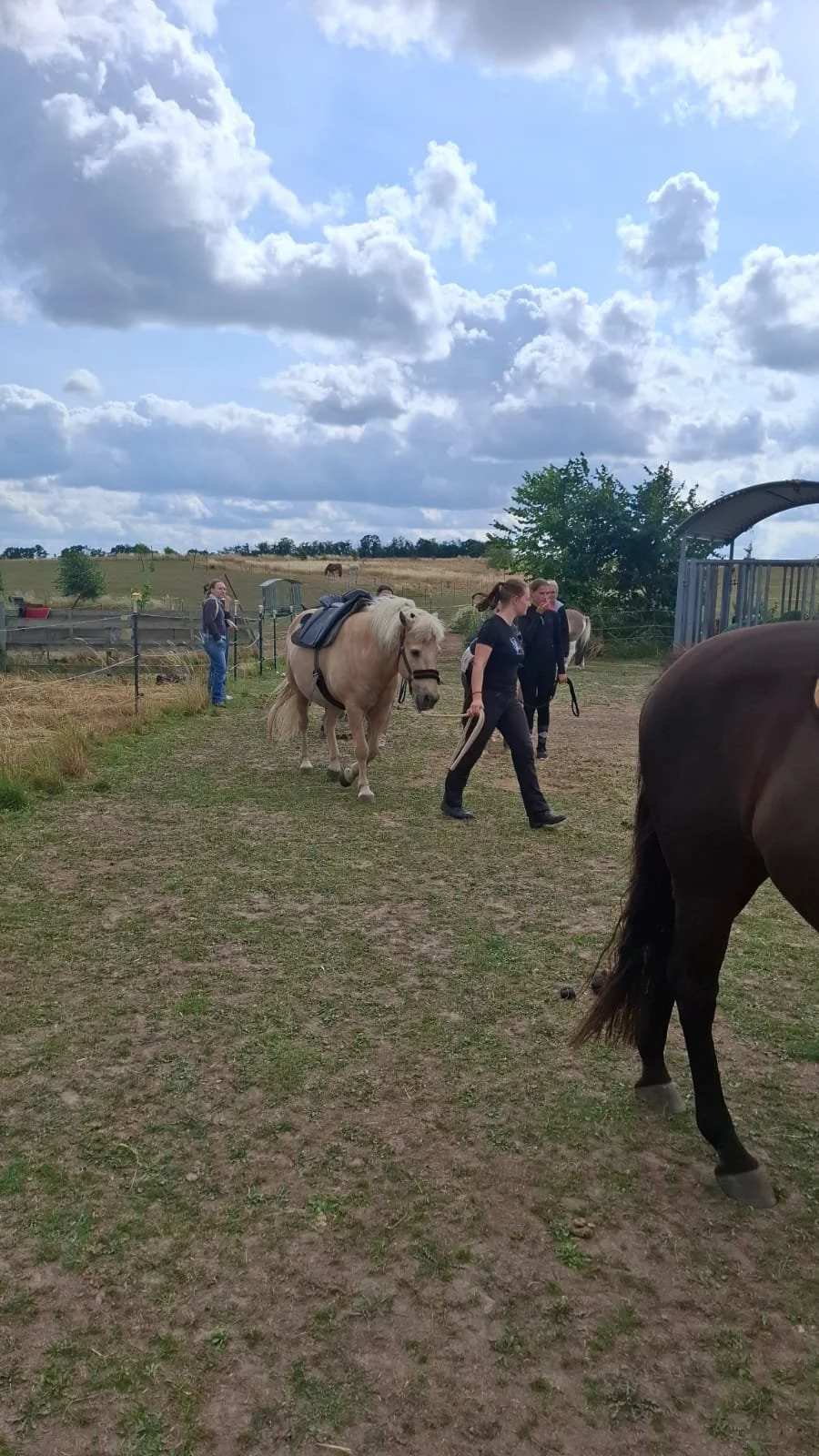 Equinauten_Sommerfest_2026_006.jpeg