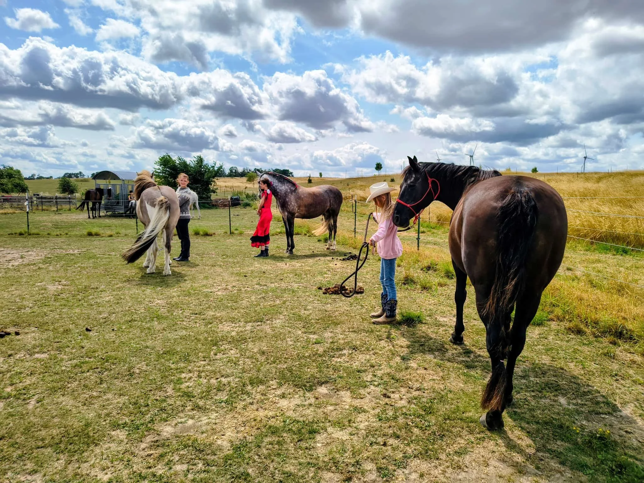 Equinauten_Sommerfest_2026_029.jpeg