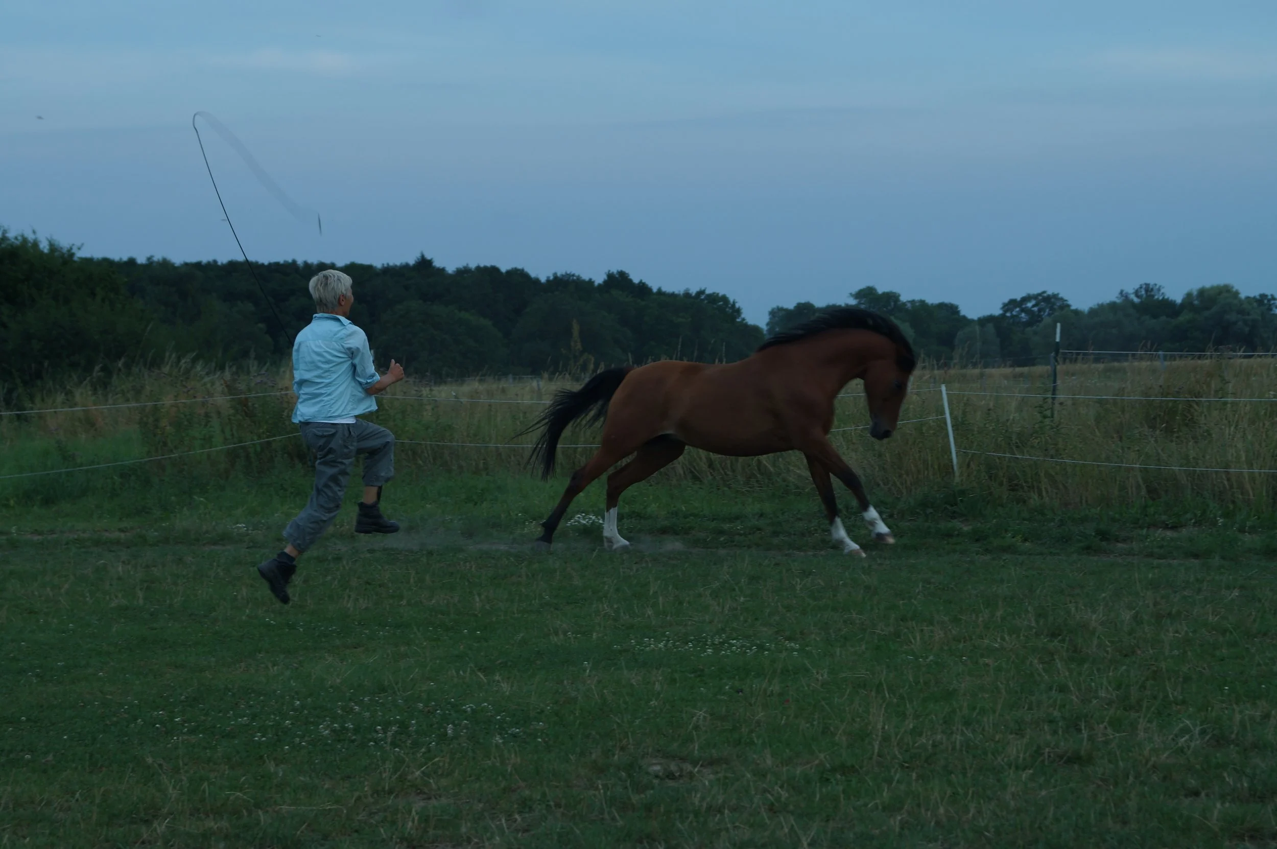 Junge Person mit kurzen, blonden Haaren wirft einen Reifen in einem Feld, während ein brauner Pferd mit weißen Hufen läuft. Im Hintergrund sind Bäume und ein bewölkter Himmel zu sehen.