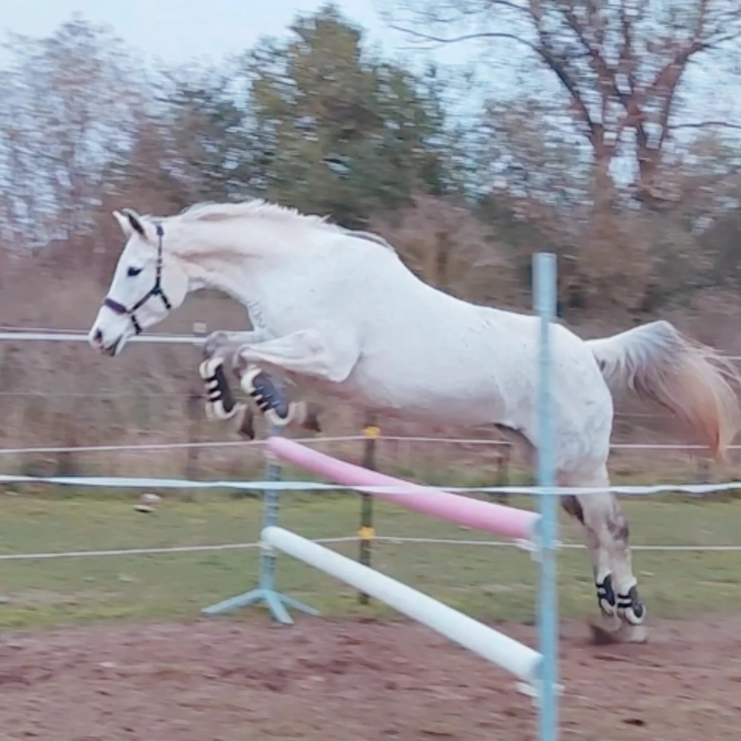 WhatsApp Image 2026-03-11 at 09.37.28 (4).jpeg