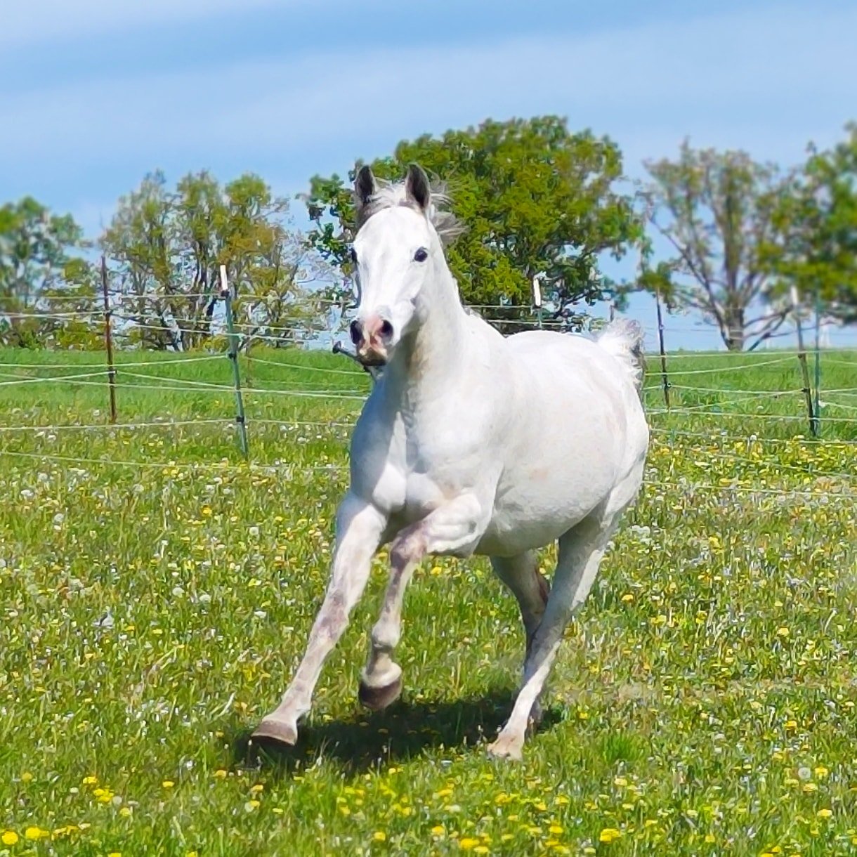 WhatsApp Image 2026-03-11 at 09.37.29 (6).jpeg