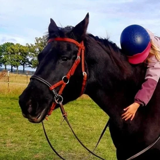 Ein schwarzes Pferd mit rotem Zaumzeug steht auf einer grünen Wiese; ein Kind mit rosa Jacke und blauer Fahrradhelmkappe sitzt auf dem Pferd.