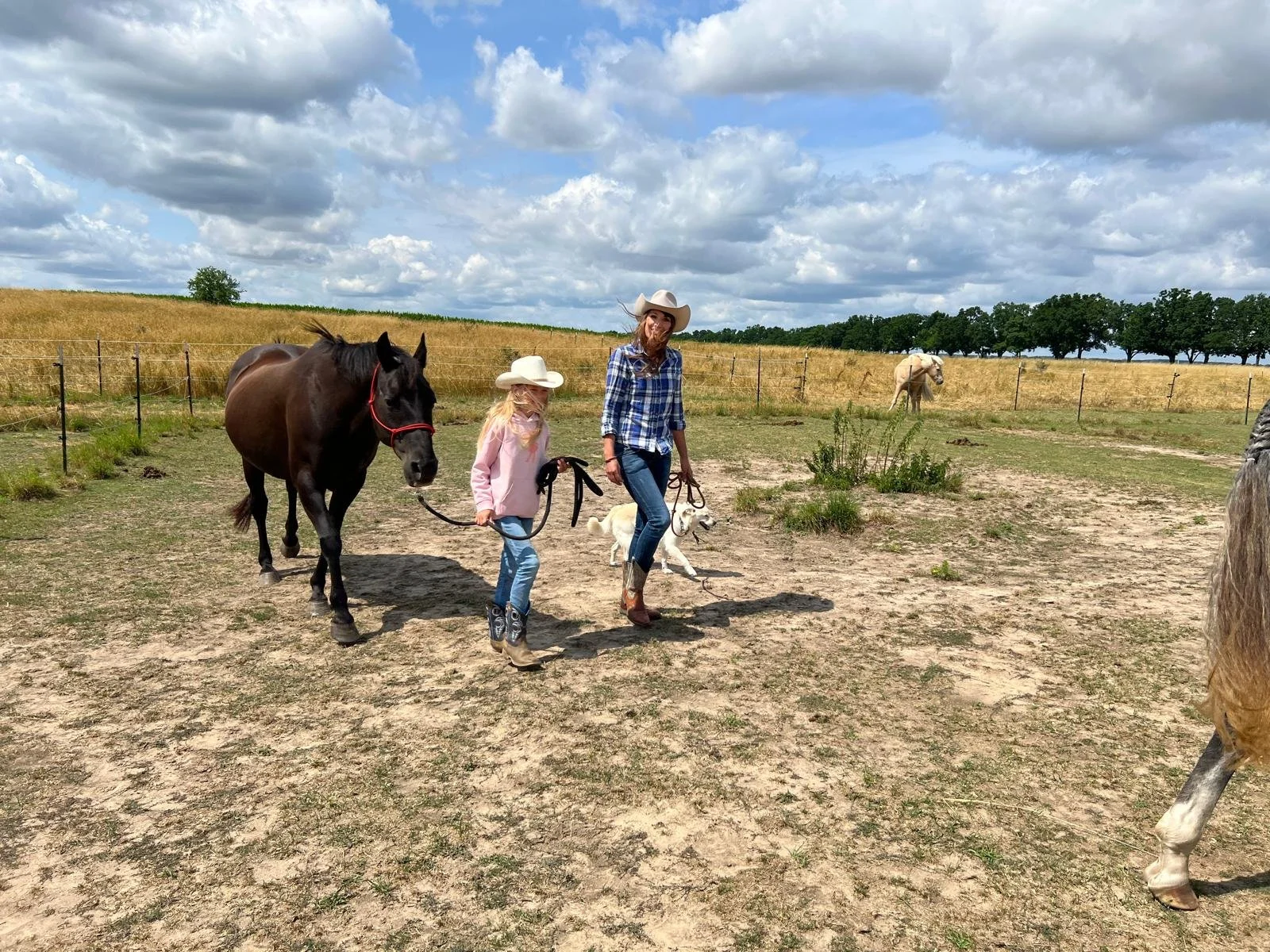 Equinauten_Sommerfest_2026_077.jpeg