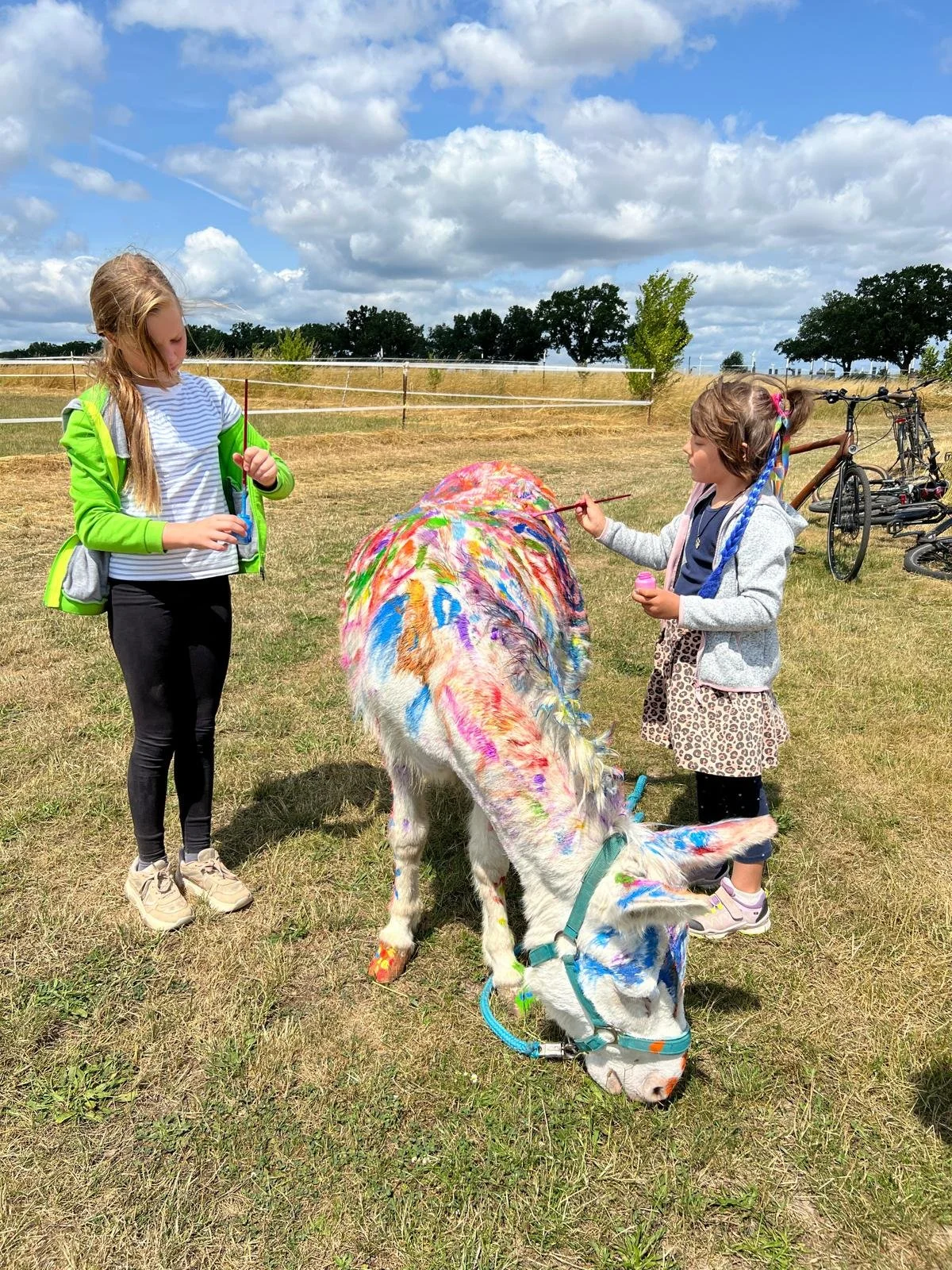 Equinauten_Sommerfest_2026_071.jpeg