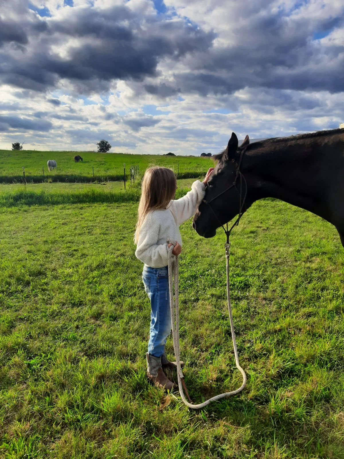 Ein Mädchen in einem weißen Pullover streichelt ein schwarzes Pferd auf einer grünen Wiese, im Hintergrund sind weitere Pferde und eine bewölkte Himmel zu sehen.