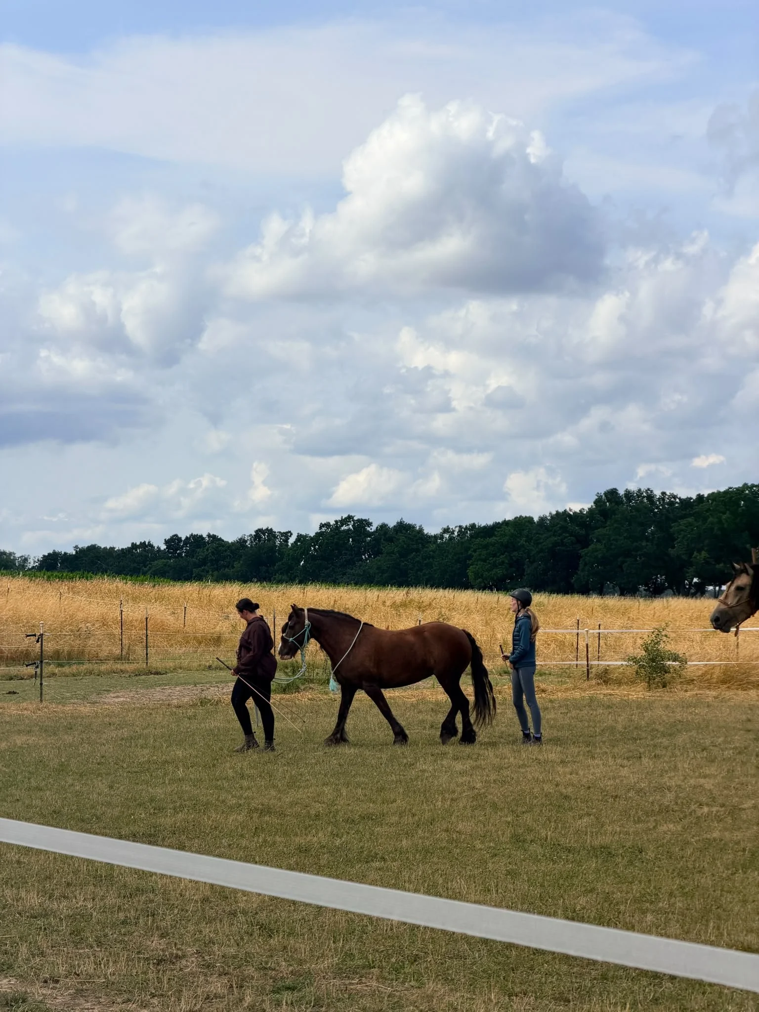 Equinauten_Sommerfest_2026_067.jpeg