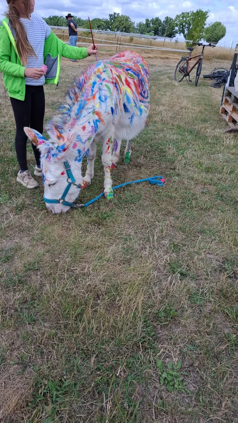 Equinauten_Sommerfest_2026_018.jpeg