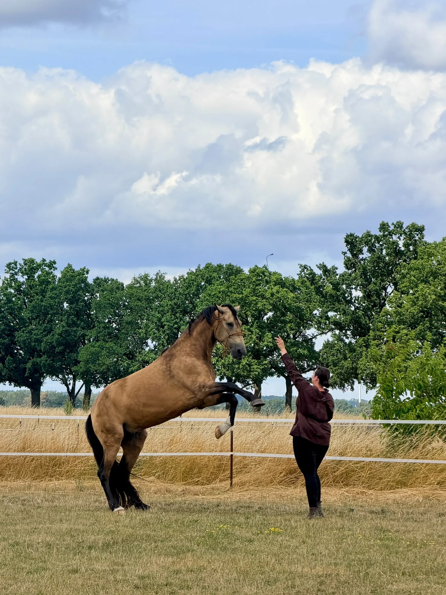 Equinauten_Sommerfest_2026_068.jpeg