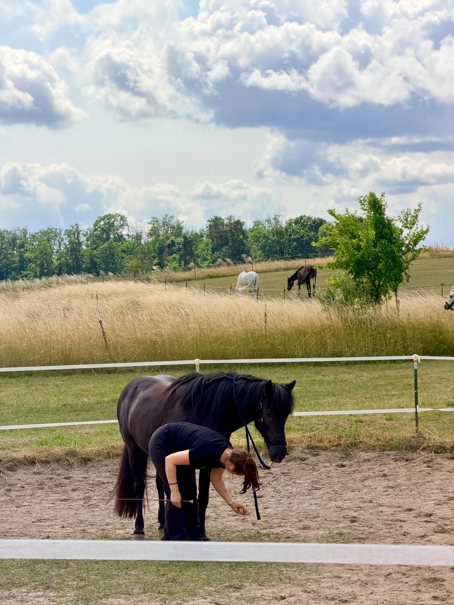 Equinauten_Sommerfest_2026_088.jpeg