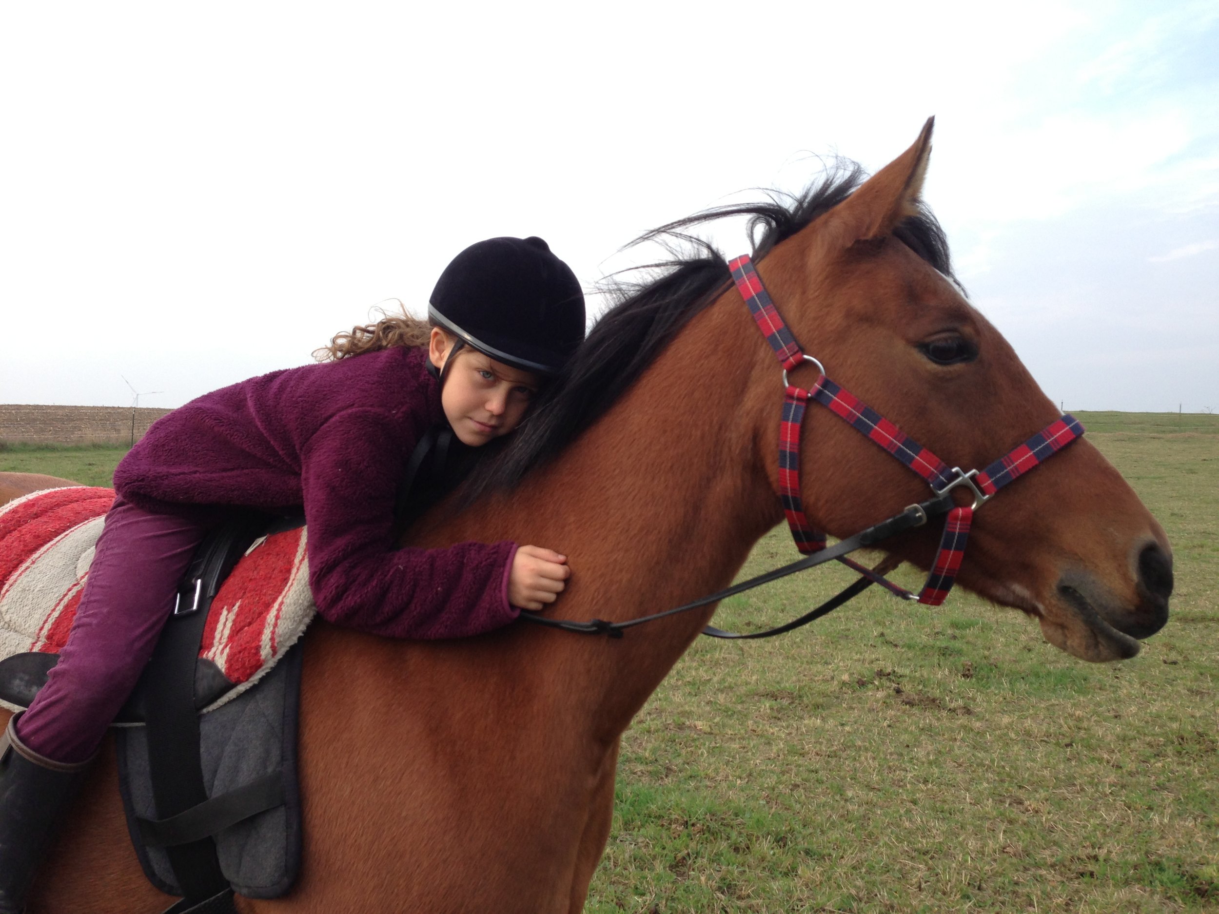 Ein Mädchen liegt auf einem Pferd, das auf einer Wiese steht. Das Mädchen trägt einen schwarzen Helm und eine lila Jacke.