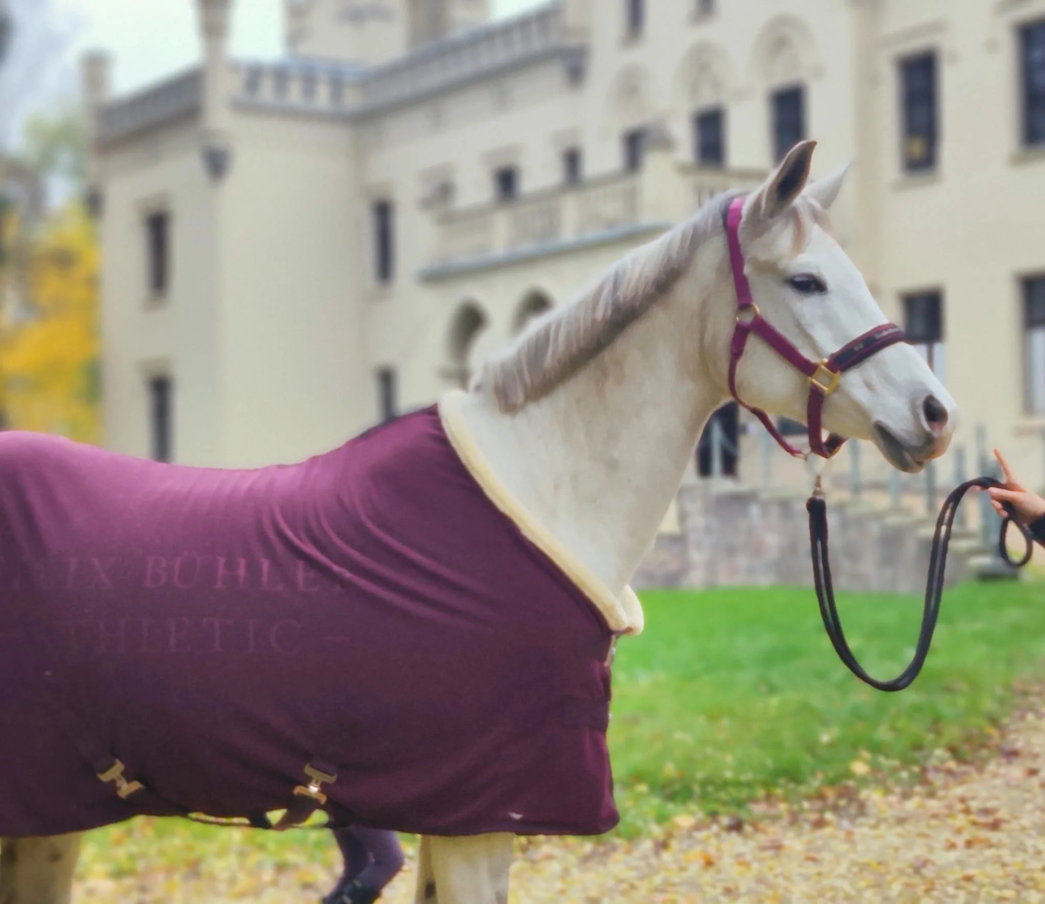 WhatsApp Image 2026-03-11 at 09.37.29 (1).jpeg