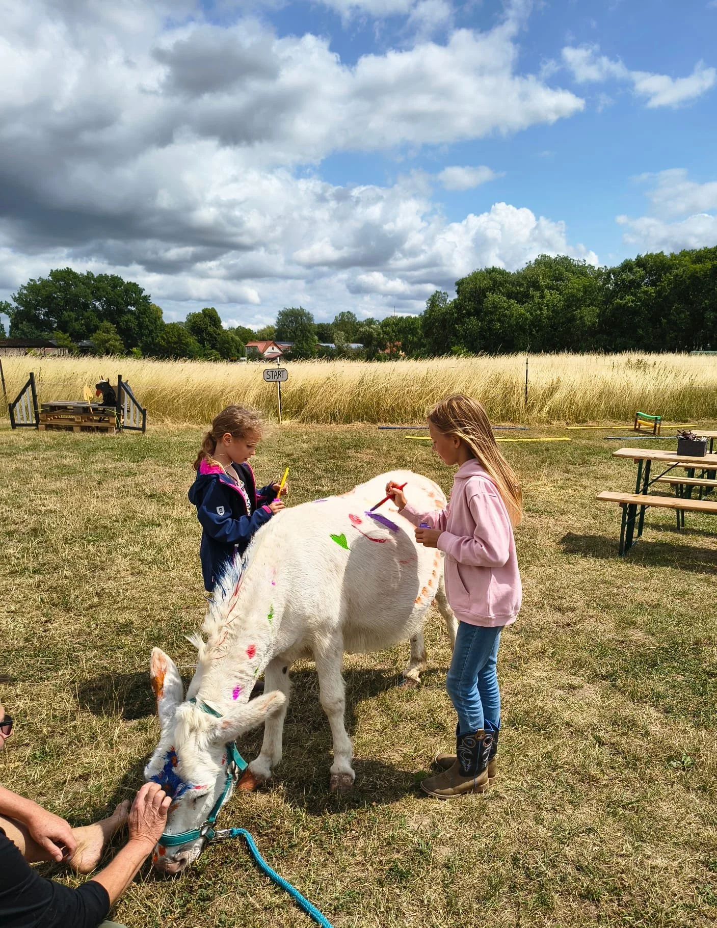 Equinauten_Sommerfest_2026_030.jpeg