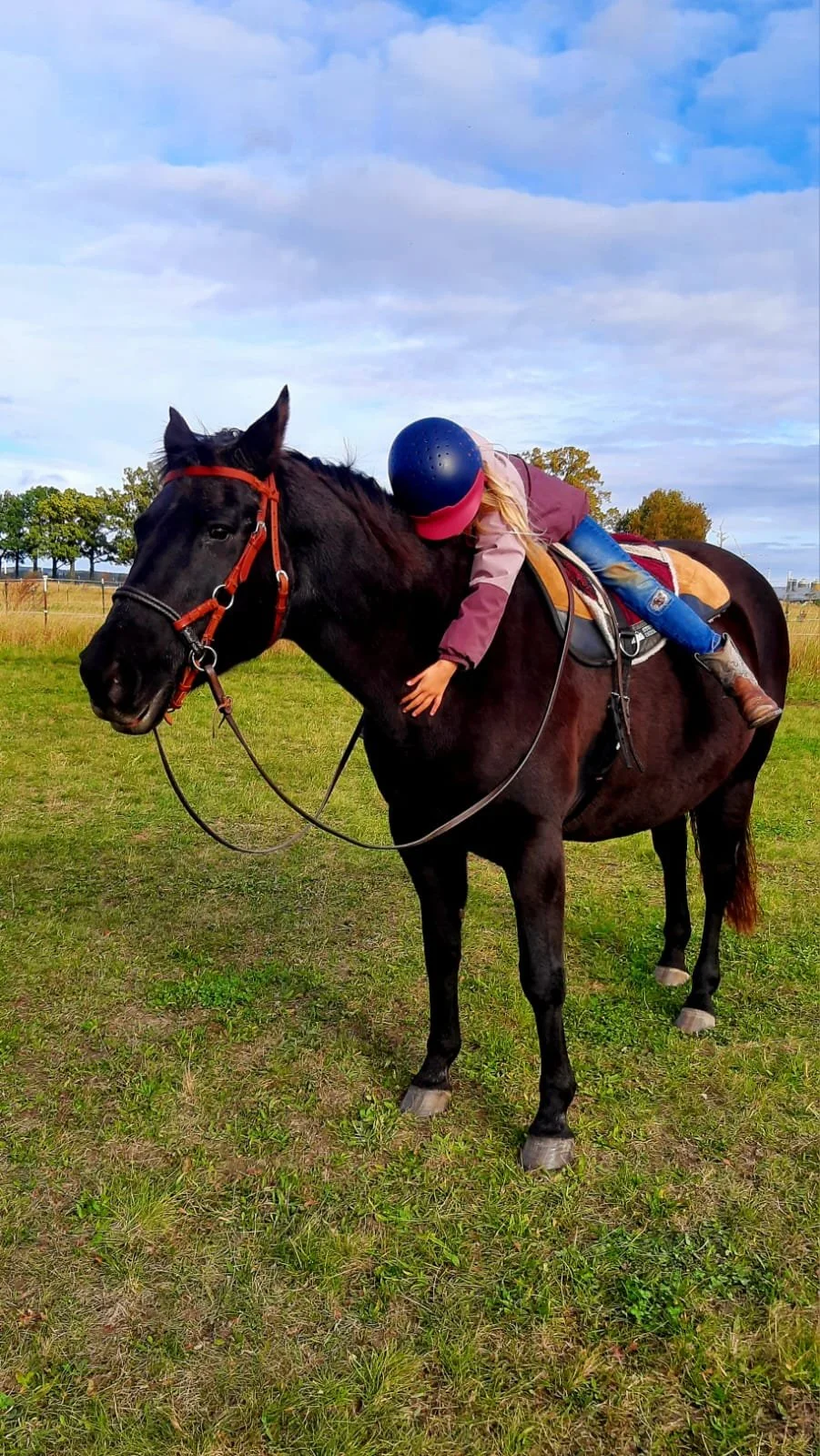 Ein Kind liegt auf dem Rücken auf dem Pferd, umarmt es und trägt einen Schutzhelm.