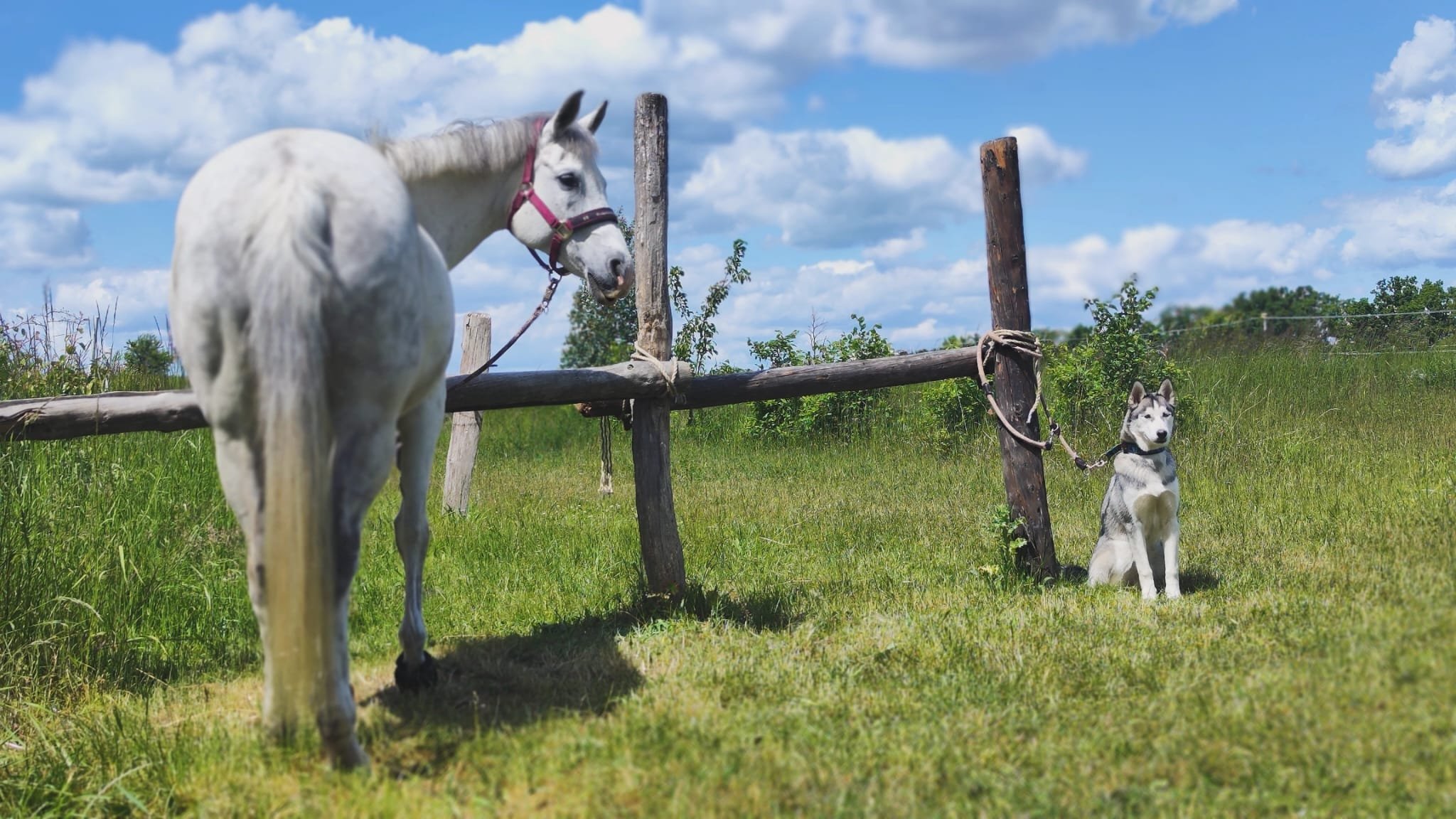 WhatsApp Image 2026-03-11 at 09.37.28 (2).jpeg