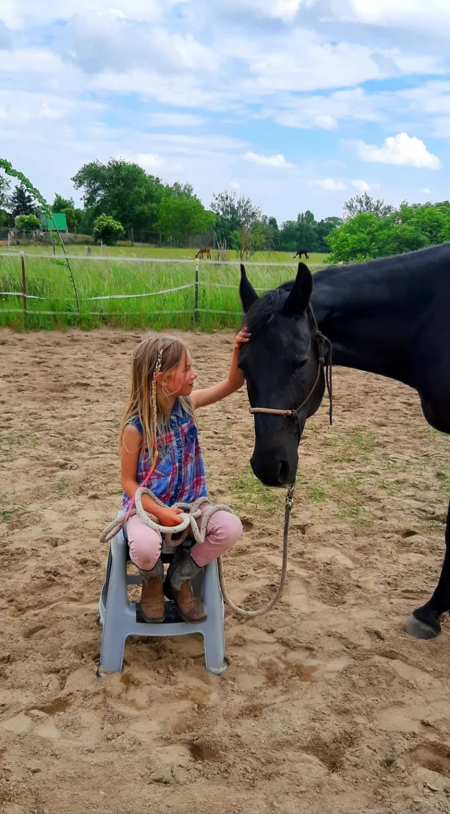 Ein kleines Mädchen sitzt auf einem Kinderhocker, streichelt ein schwarzes Pferd und hält die Zügel. Im Hintergrund sind grüne Wiesen, Bäume und ein Himmel mit Wolken.