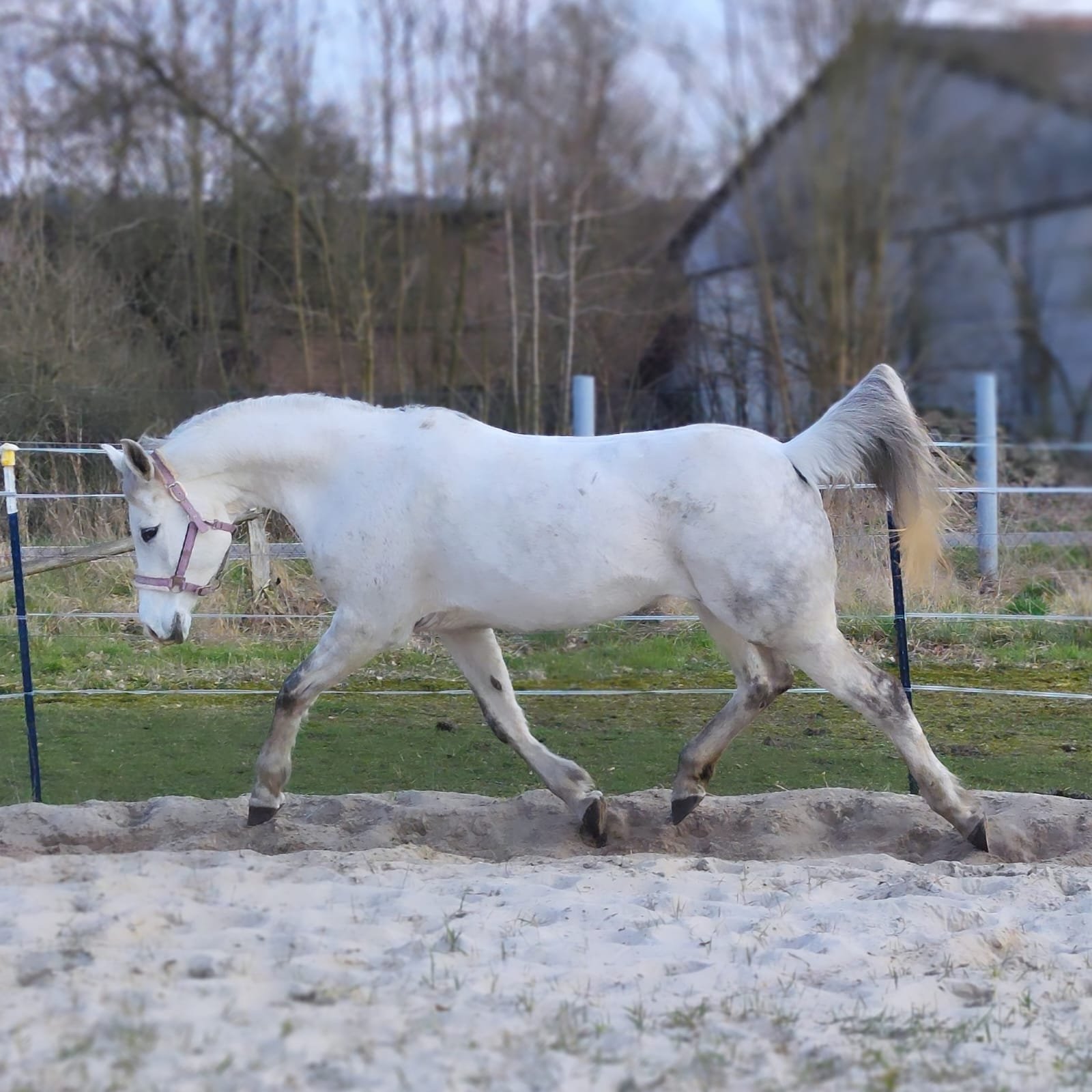 WhatsApp Image 2026-03-11 at 09.37.29 (7).jpeg