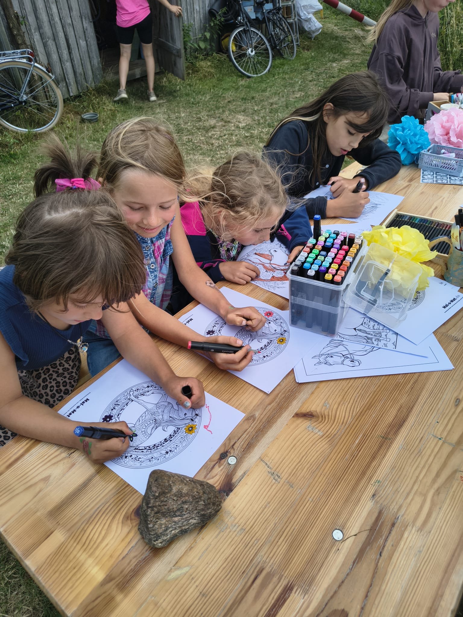 Equinauten_Sommerfest_2026_021.jpeg