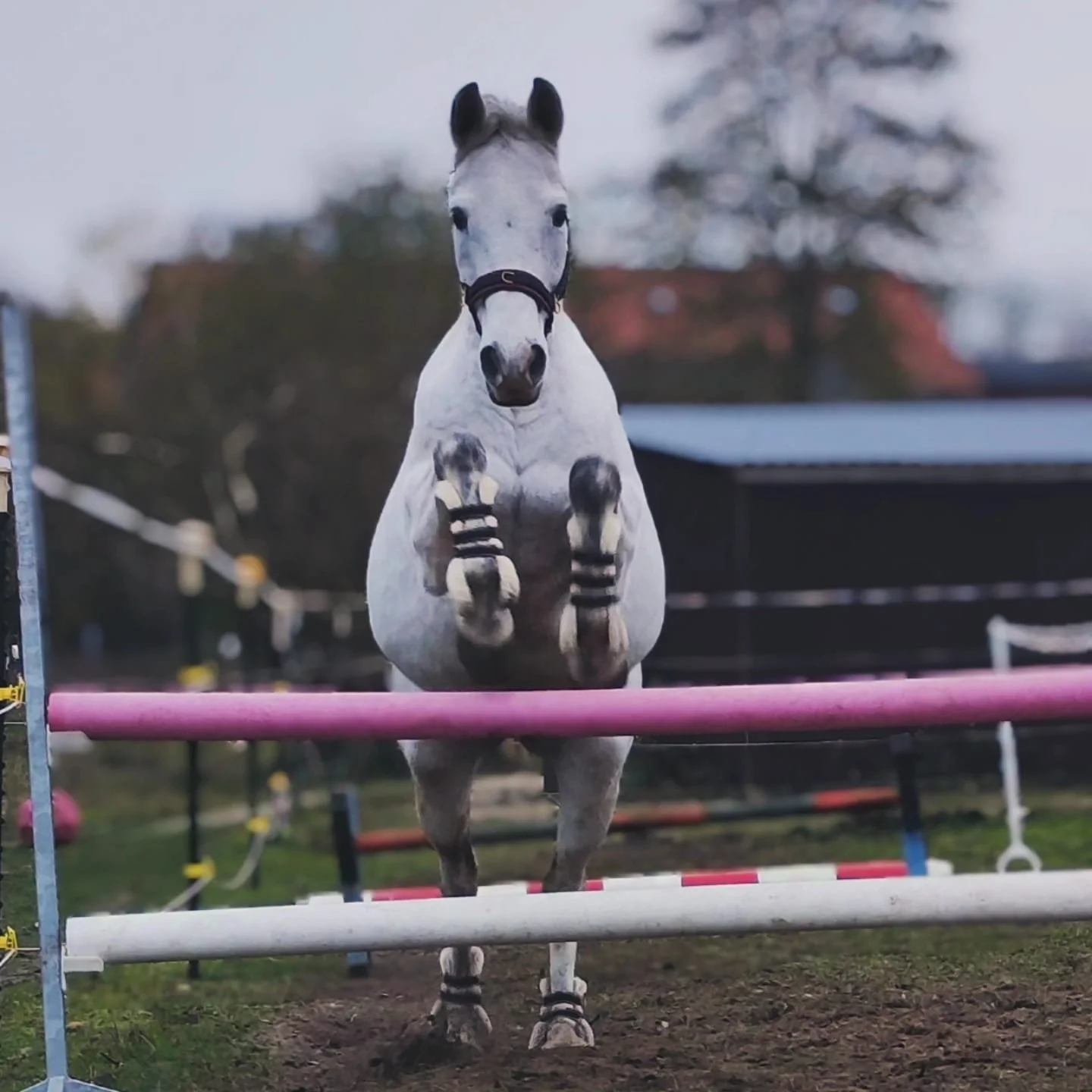 WhatsApp Image 2026-03-11 at 09.37.28 (5).jpeg