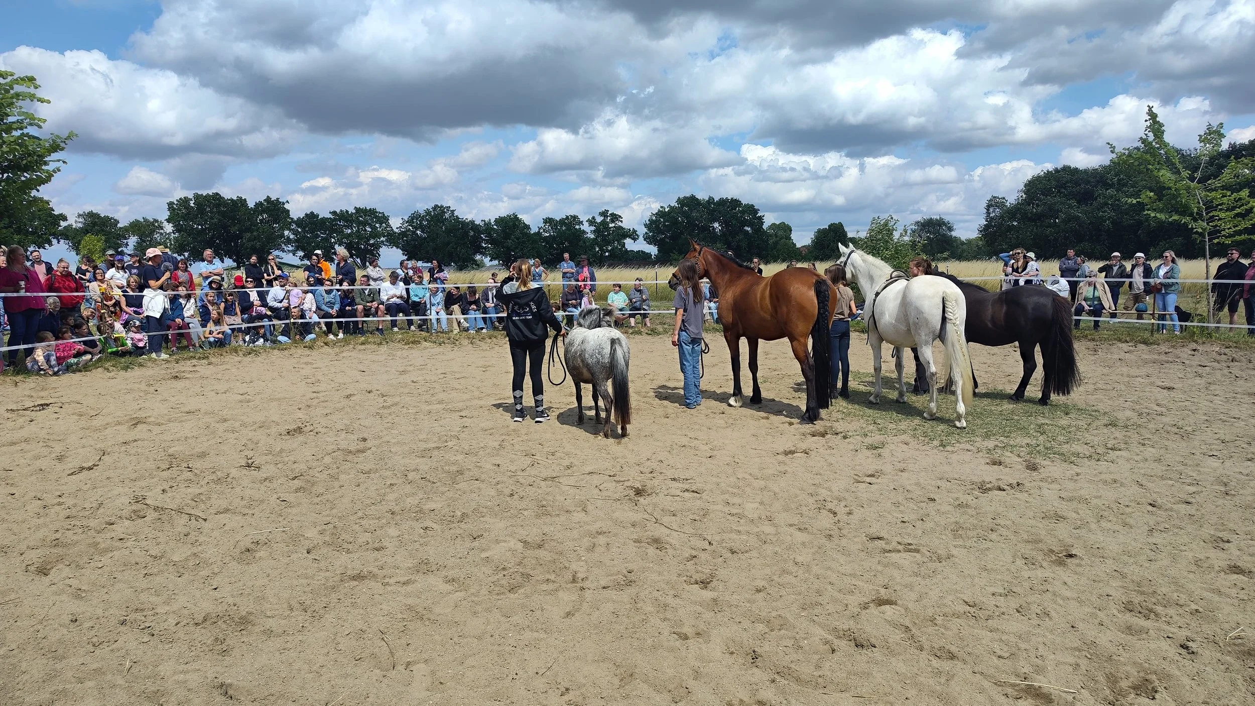 Equinauten_Sommerfest_2026_053.jpeg