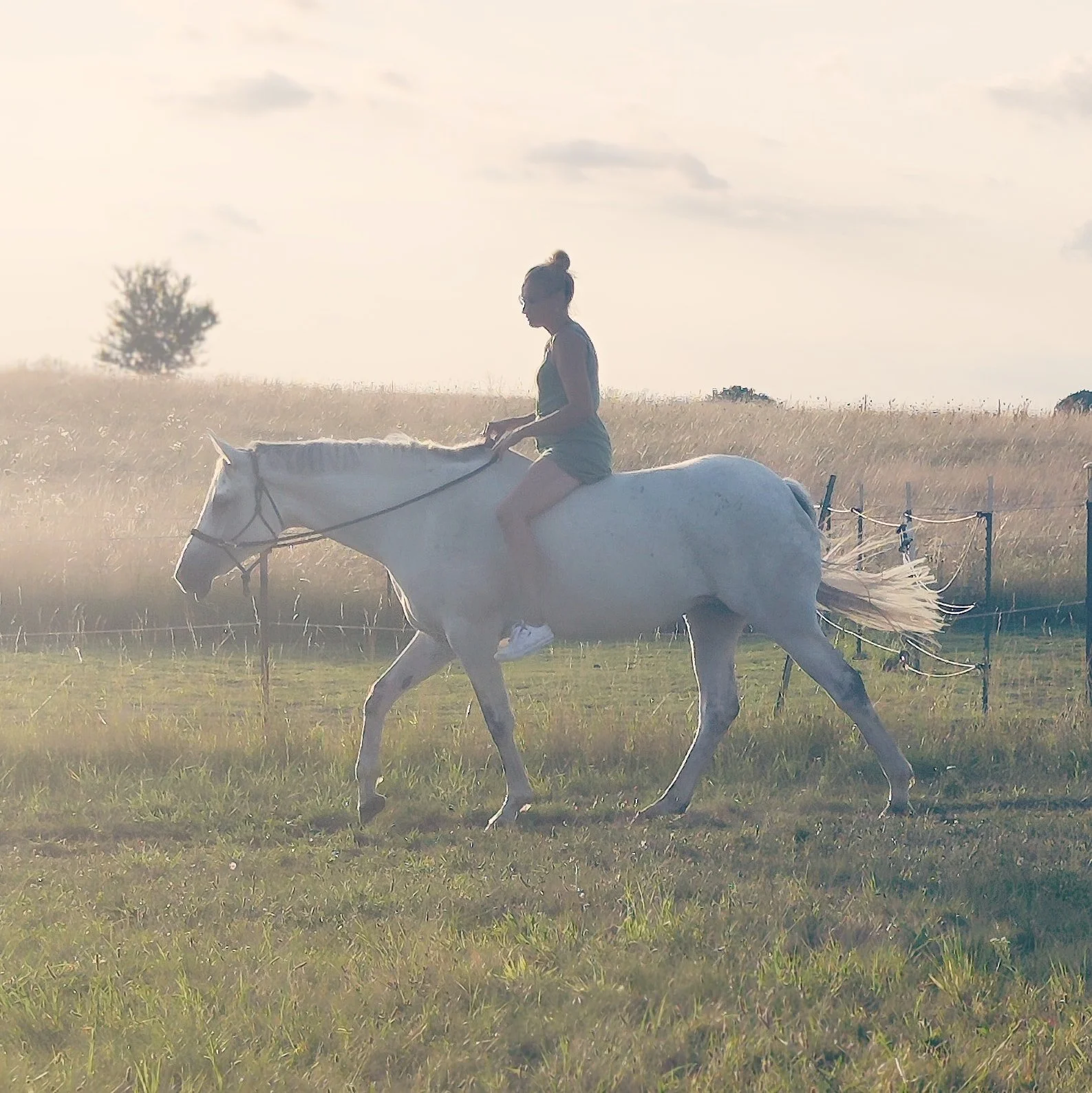 WhatsApp Image 2026-03-11 at 09.37.29 (4).jpeg