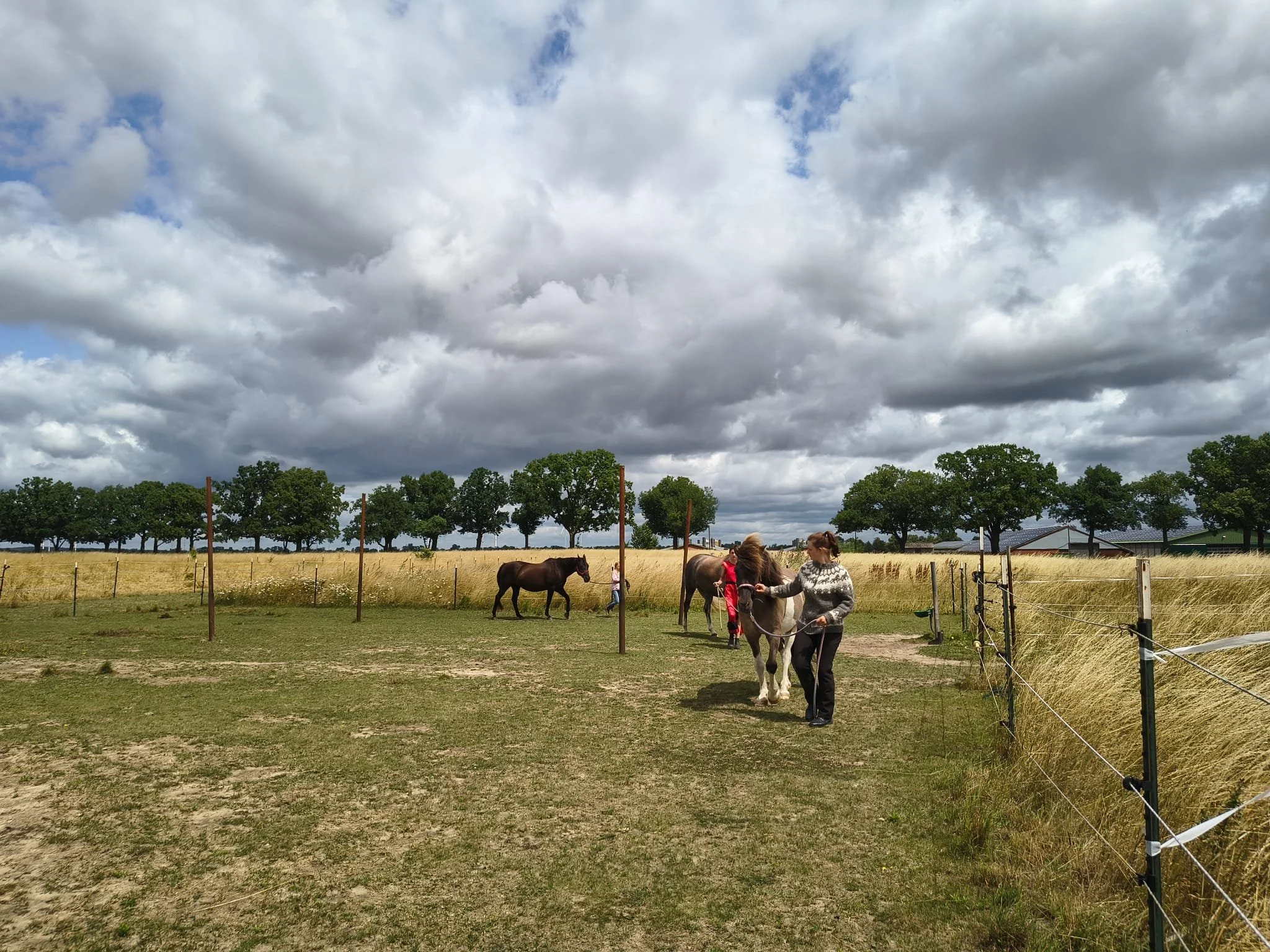 Equinauten_Sommerfest_2026_034.jpeg