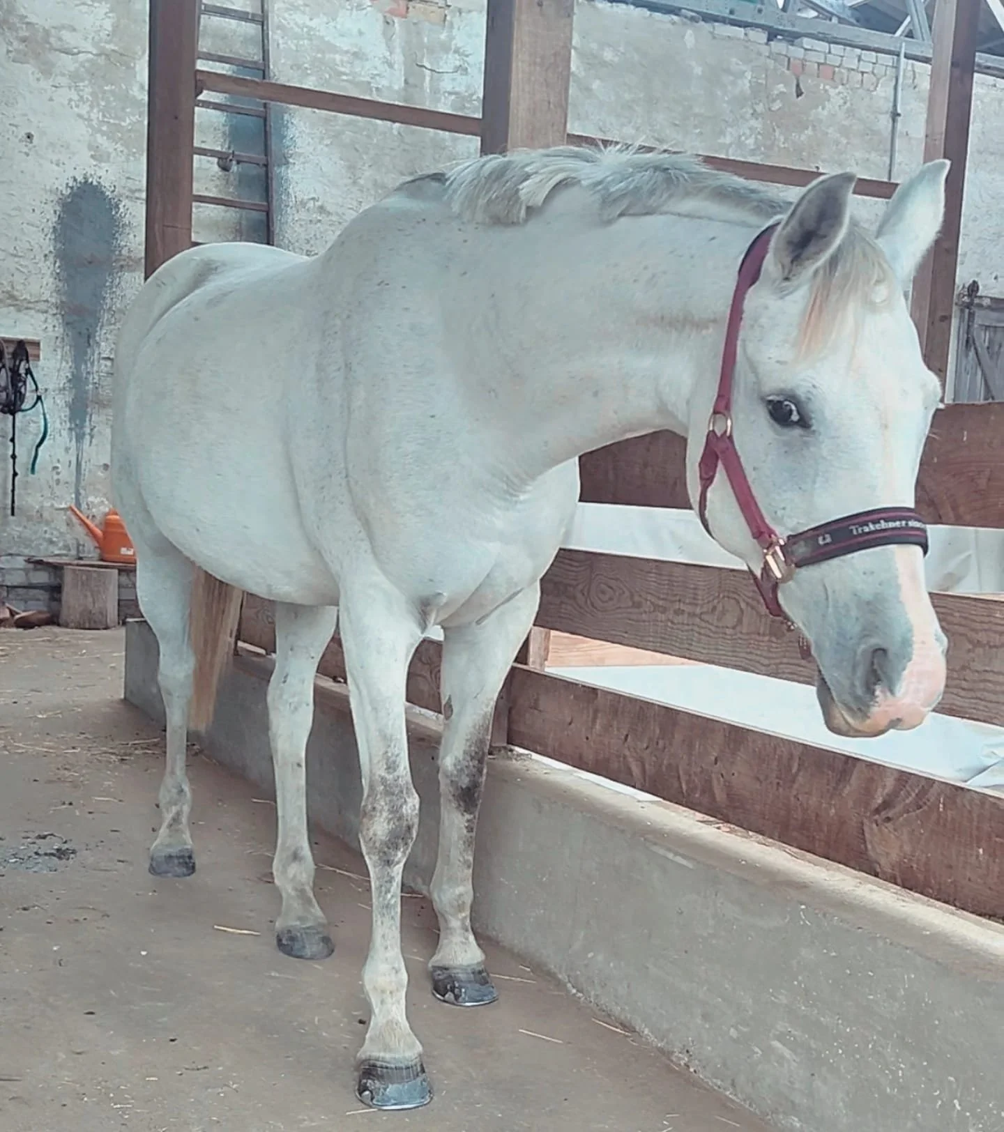 WhatsApp Image 2026-03-11 at 09.37.28.jpeg