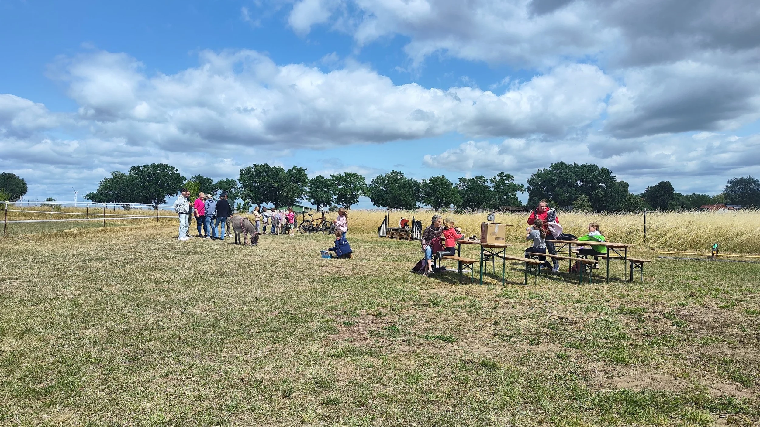 Equinauten_Sommerfest_2026_045.jpeg