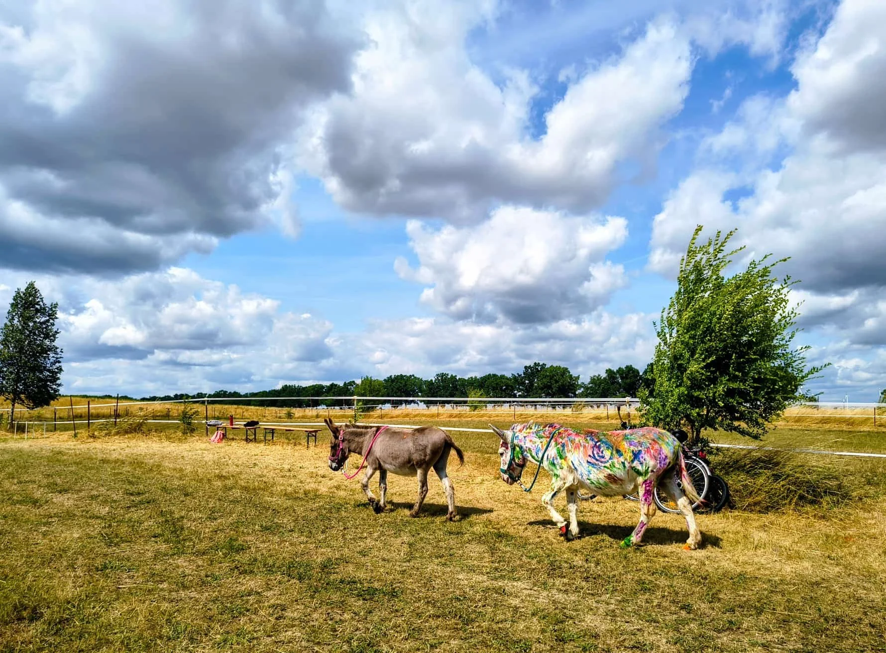 Equinauten_Sommerfest_2026_023.jpeg
