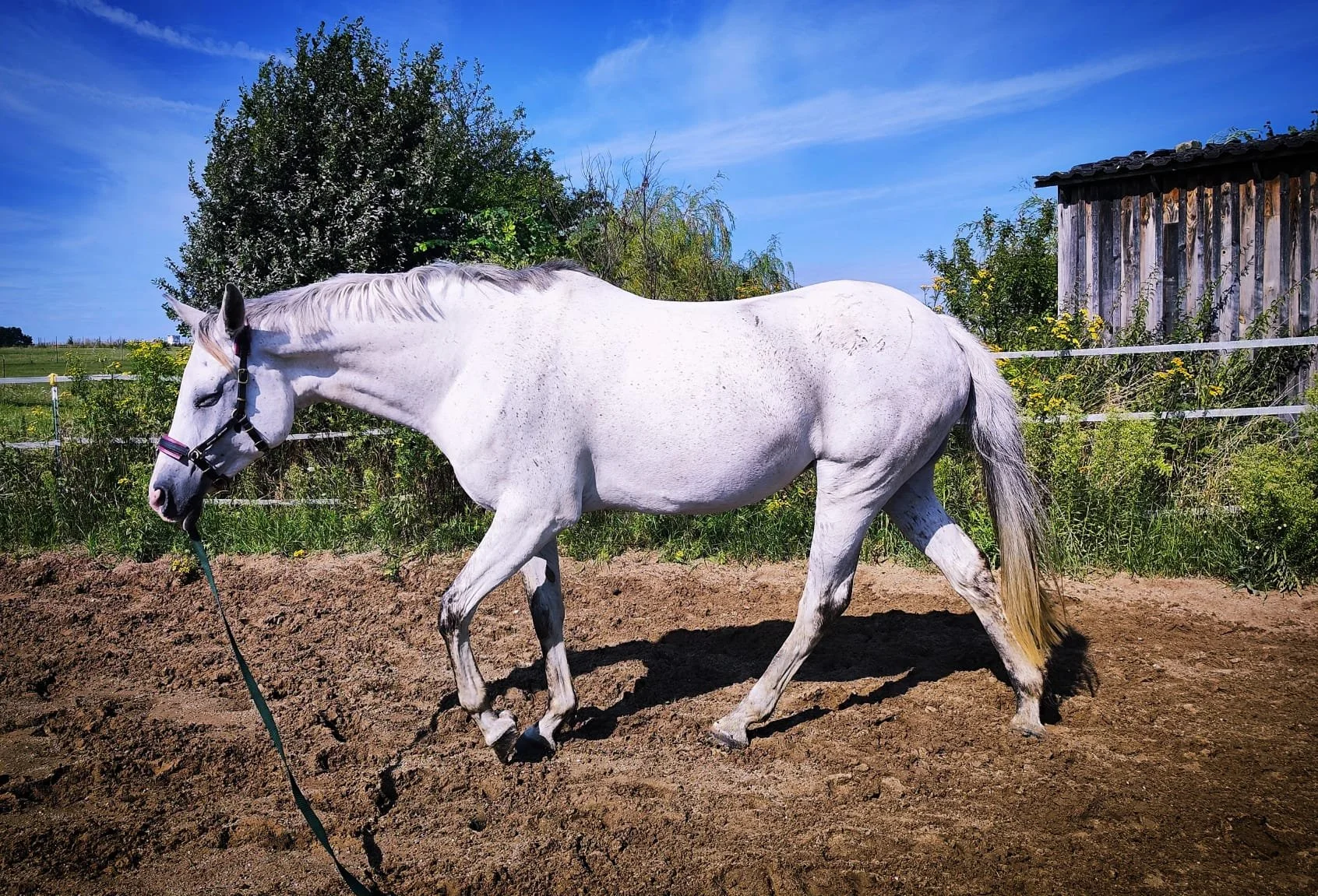 WhatsApp Image 2026-03-11 at 09.37.29 (3).jpeg