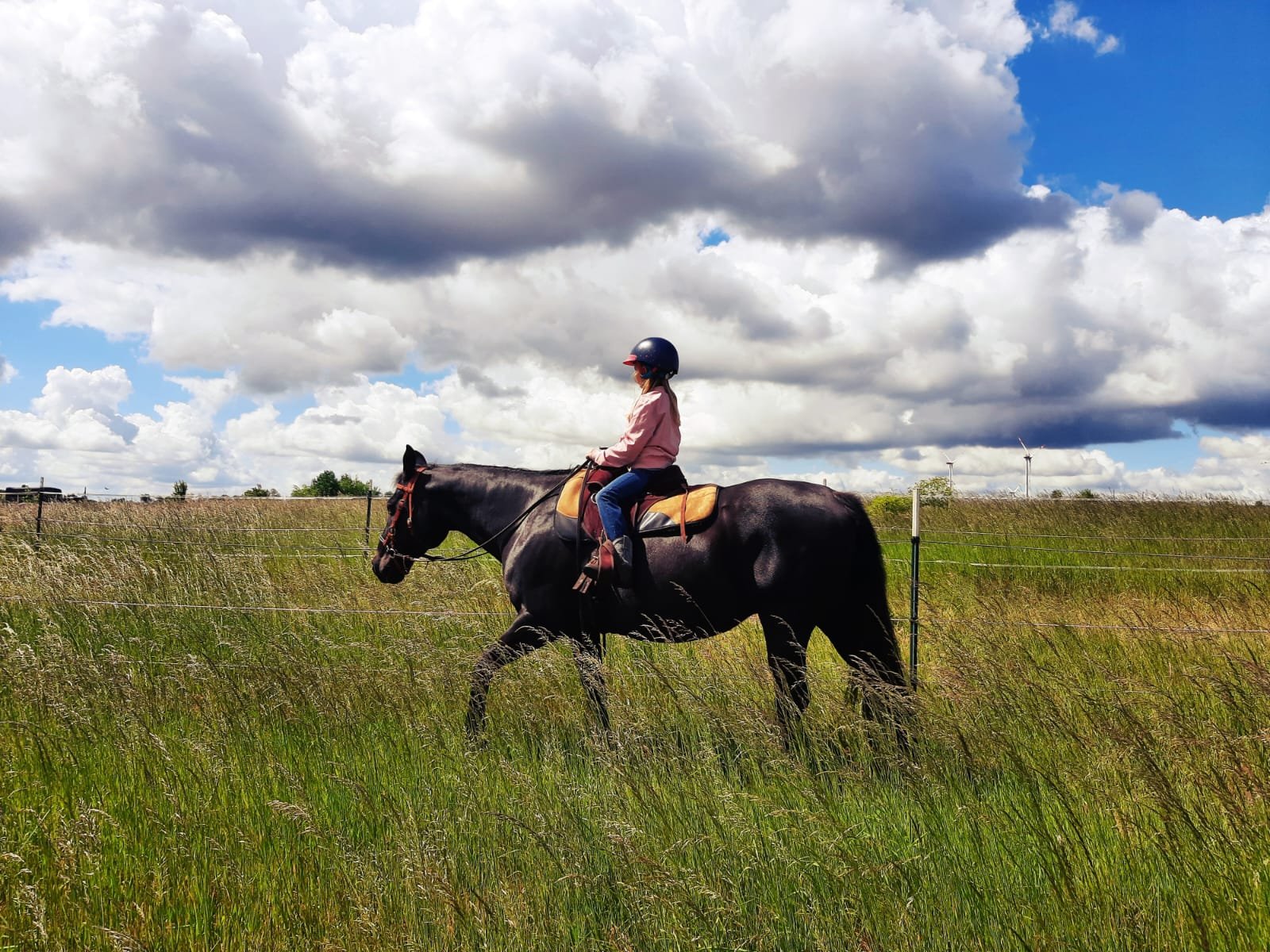 Mädchen reitet auf einem schwarzen Pferd in einer Wiesenlandschaft bei bewölktem Himmel.