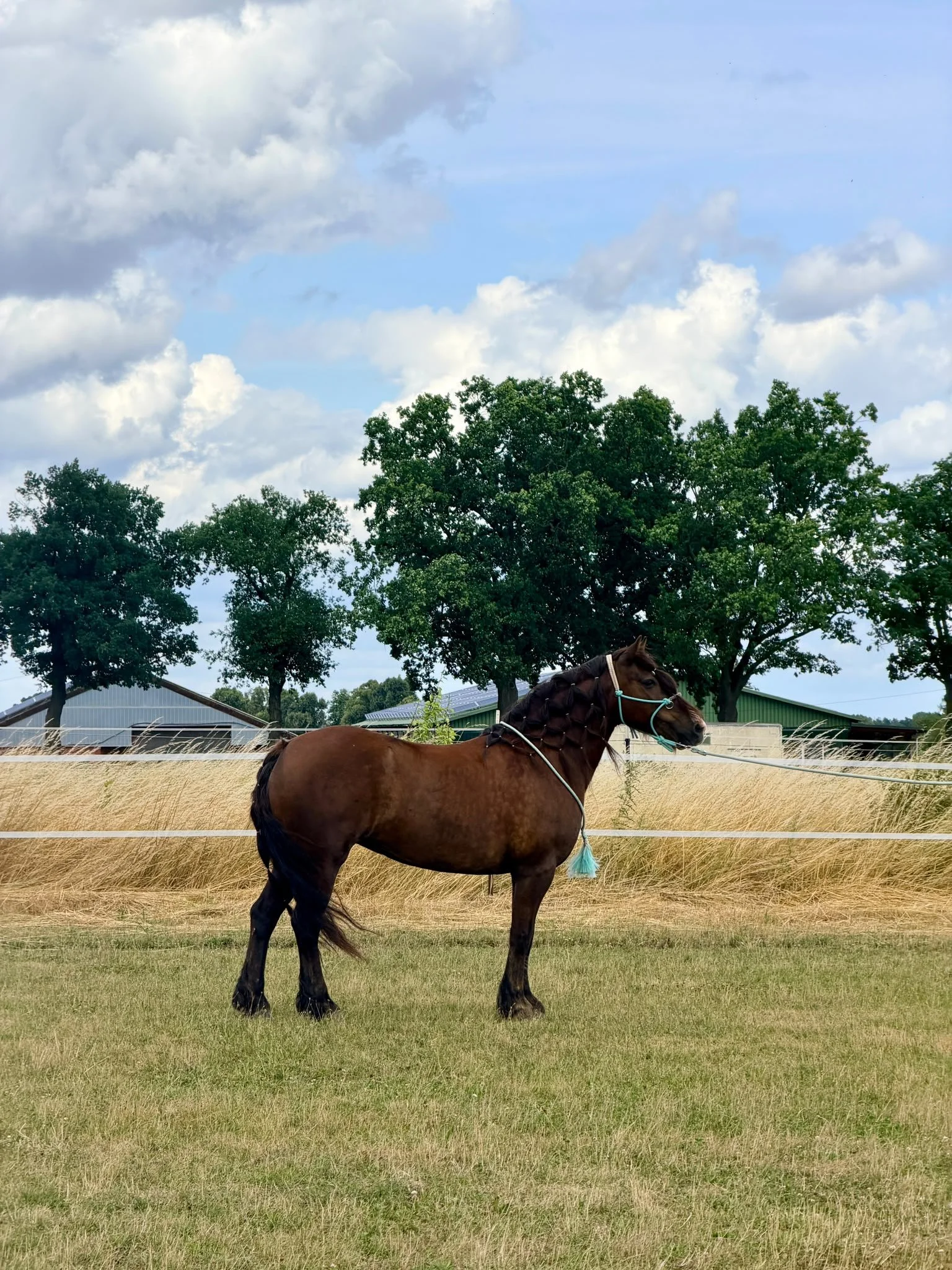 Equinauten_Sommerfest_2026_066.jpeg