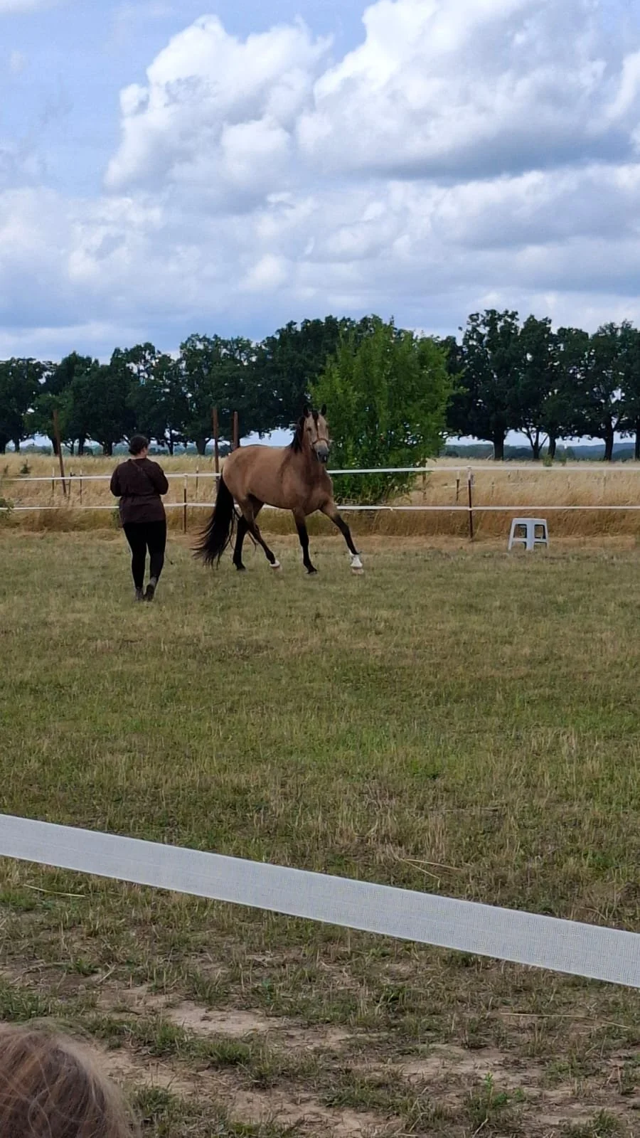 Equinauten_Sommerfest_2026_003.jpeg