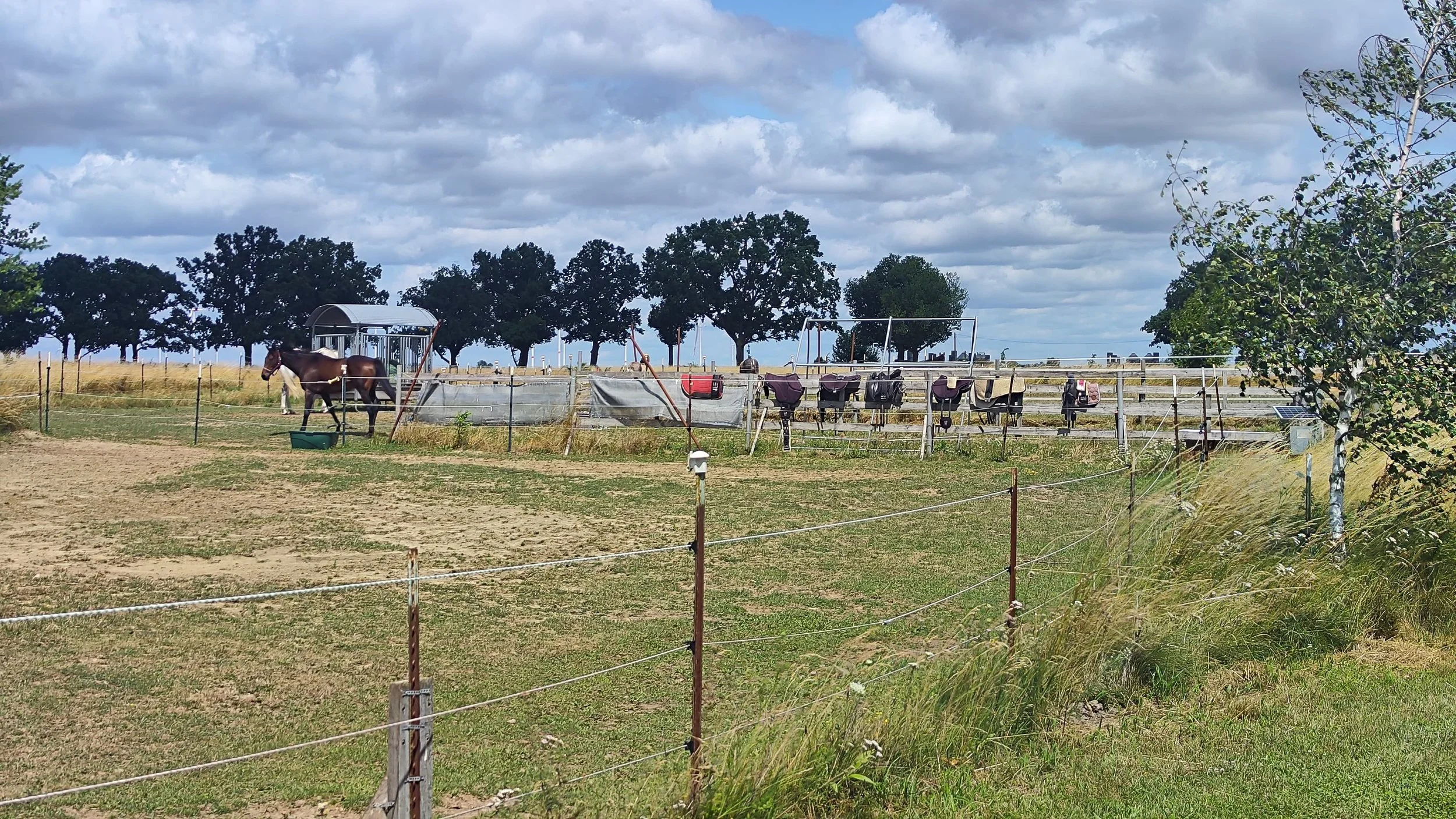 Equinauten_Sommerfest_2026_047.jpeg