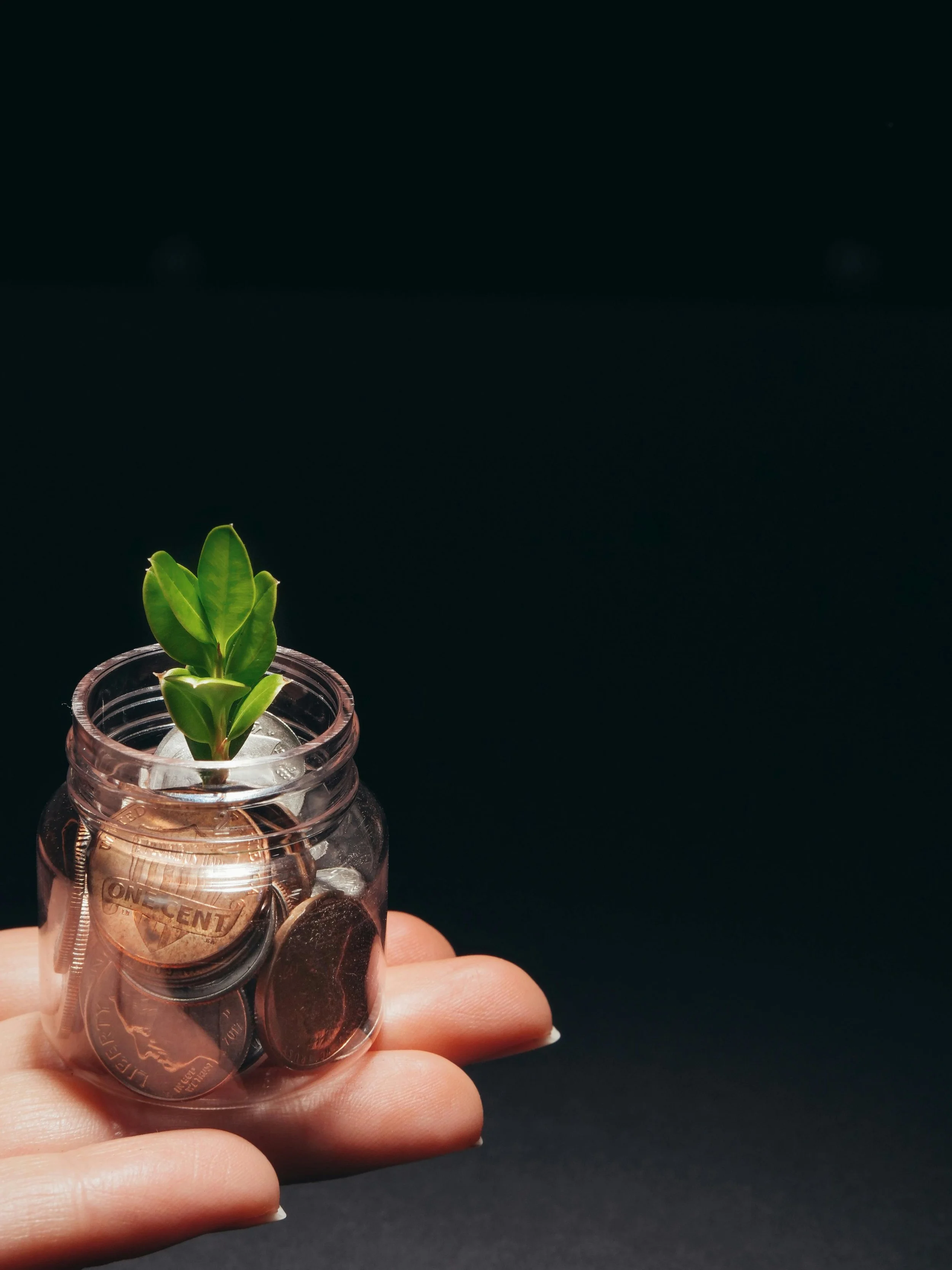 The Value of Investing in Taxable Accounts