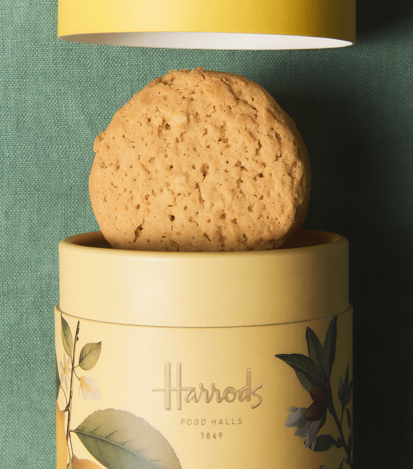 6934371-2_High Res.png